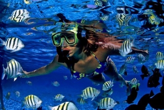 Snorkel Fantasea